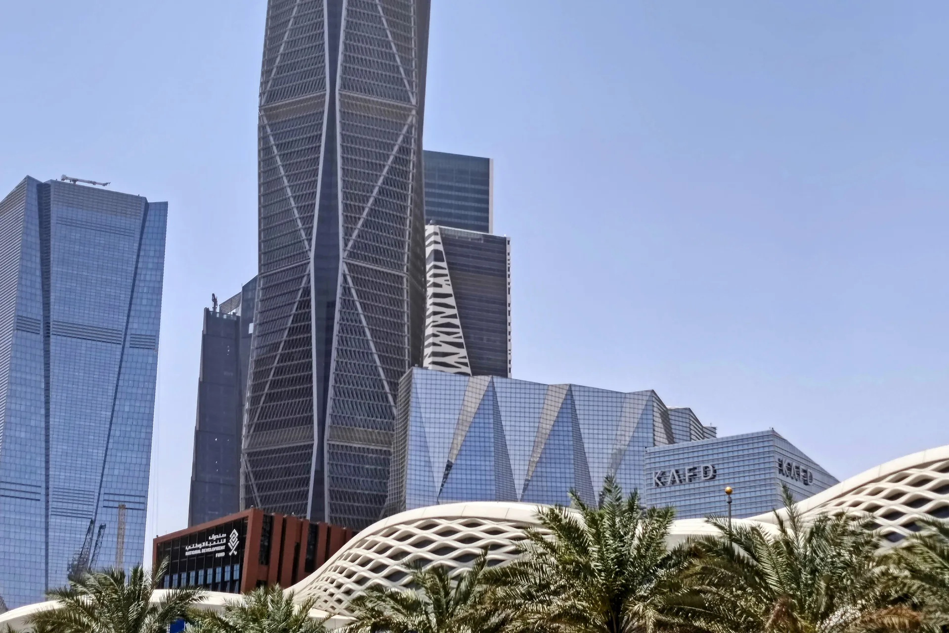 Twin financial district towers above a row of palms, Riyadh